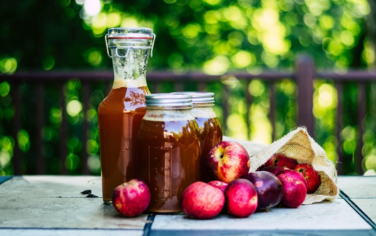 Best Apple Cider Vinegar in India