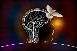 PGI Neurology Department Doctors List: Complete Guide to Best Neurologists in PGIMER Chandigarh