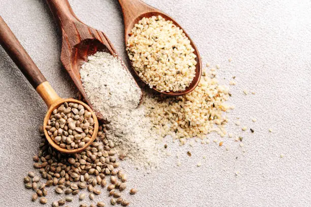 best vegan protein powder
